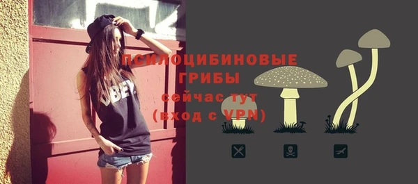 2c-b Арсеньев