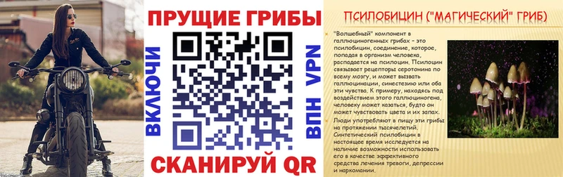 Галлюциногенные грибы прущие грибы  Нытва 