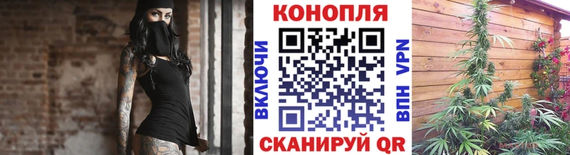 даркнет состав  Нытва  Каннабис сатива 
